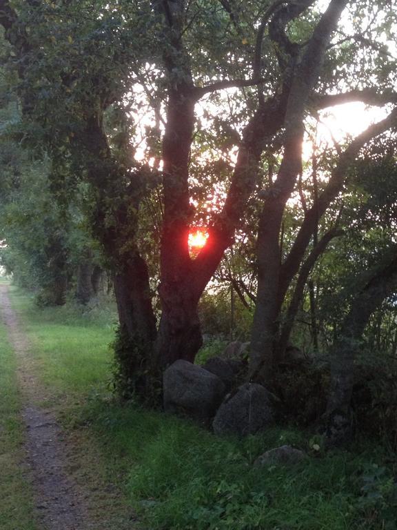Paradiset Oestra Oeland Nedra Sandby Exteriér fotografie